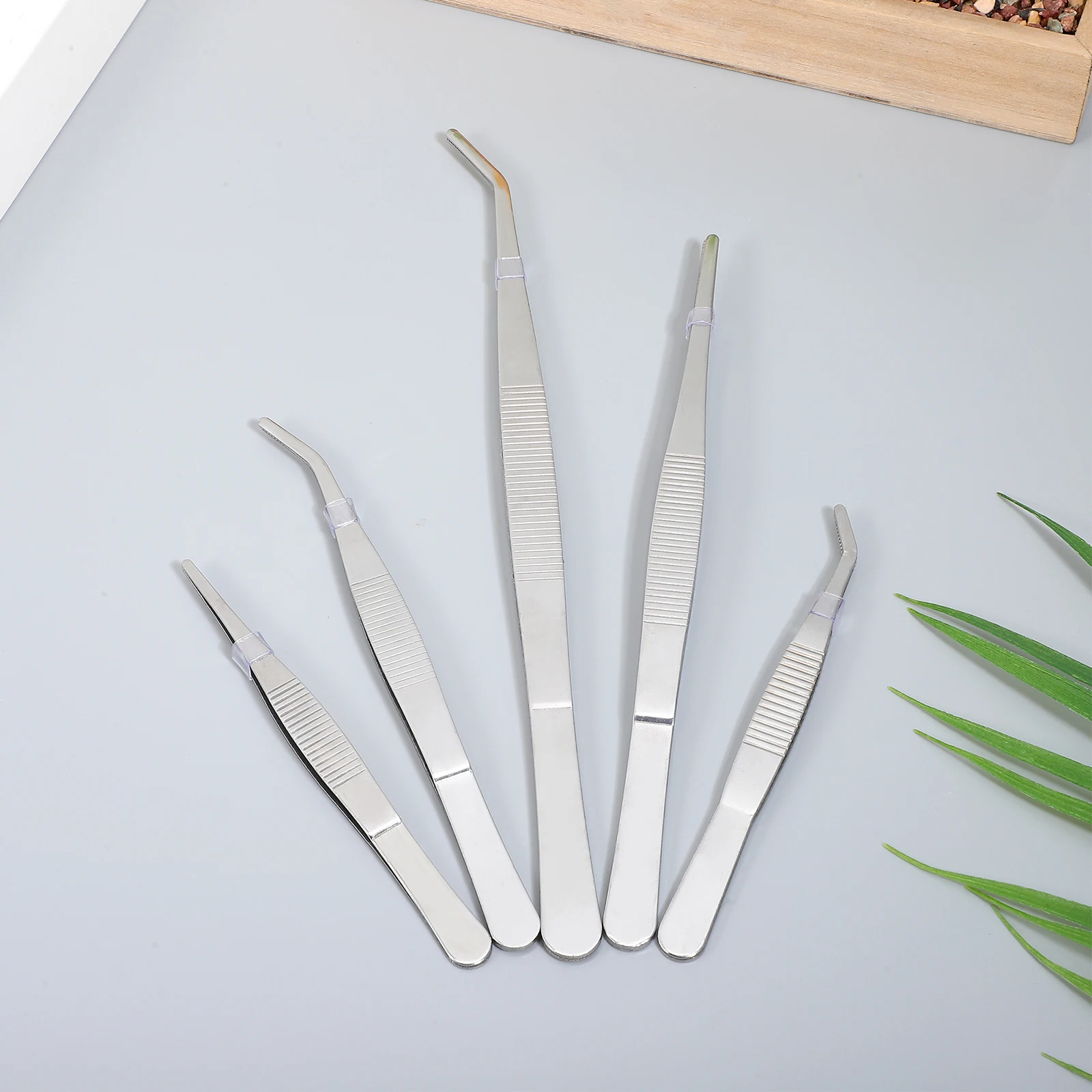 

5pcs Stainless Steel Tweezers Small Plant Tools Bonsai Gardening Accessory Compact H Tool for Succulent Moss L Decor