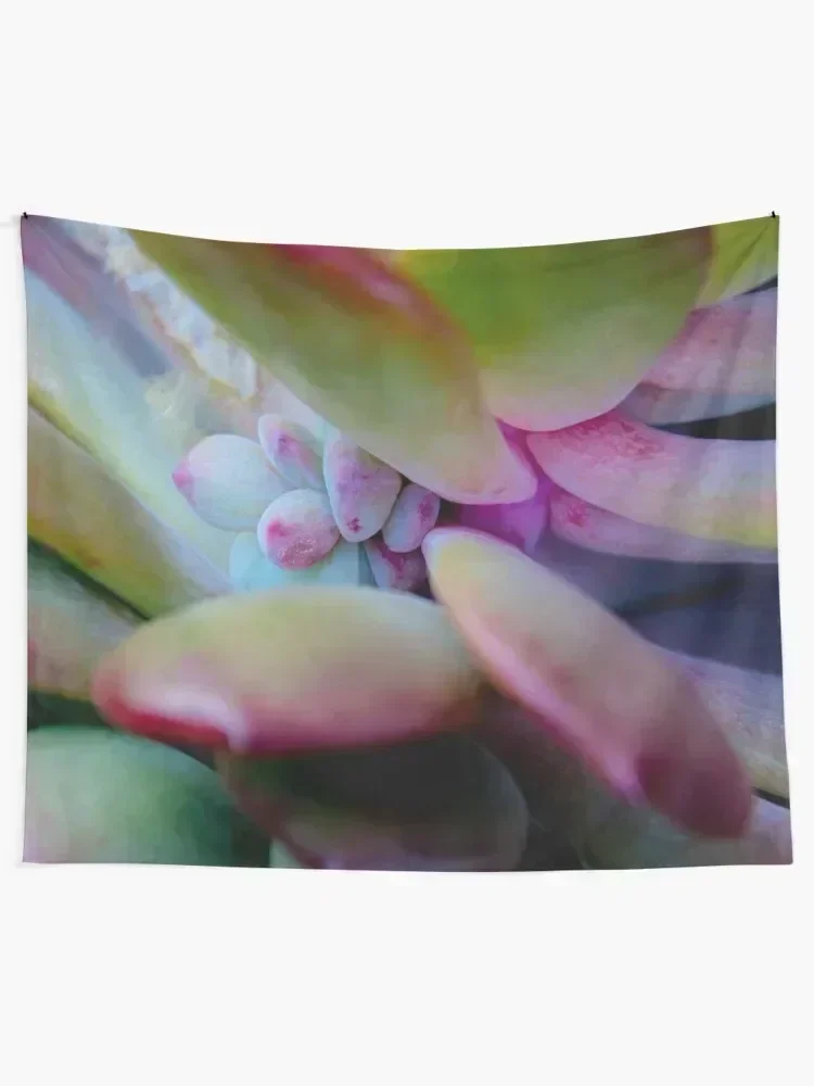 succulent detail Tapestry Things To Decorate The Room Bed Room Decoration Wall Hanging Wall Tapestry