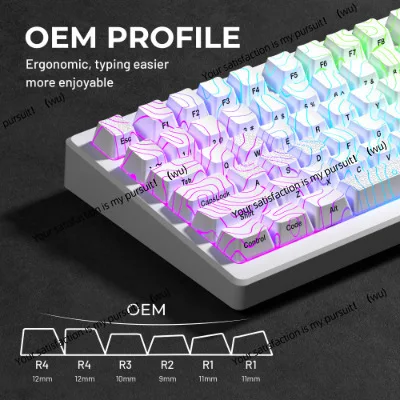 Contour 2.0 Ukiyo-e ice crack light transmission keycap side engraving IMD/wooting