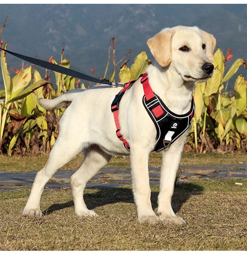 Taktisches Anti-Zieh-Hundegeschirr, Reflektierend, Robustes Oxford-Gewebe, Wasserdicht, für Mittelgroße und Große Rassen, Outdoor-Spaziergang, Haustier-Weste – Detail 6