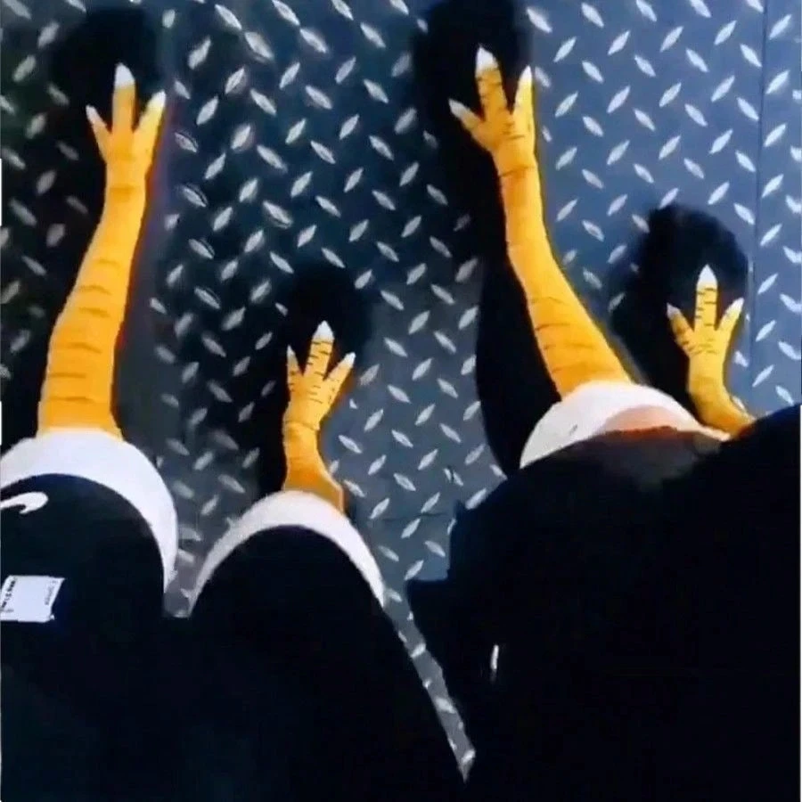 1/2 زوج المرأة طول الركبة جوارب ساق الدجاج متعة الكرتون مجنون أقدام الدجاج تنفس مريحة جوارب مبتكرة #6