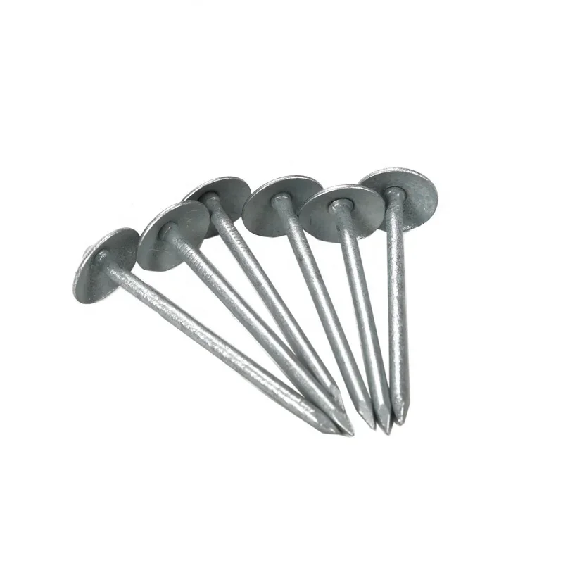 

China Manufacture 8G 9G 10G 11G All Size Galvanized Umbrella Head Roofing Nail For With Good Price