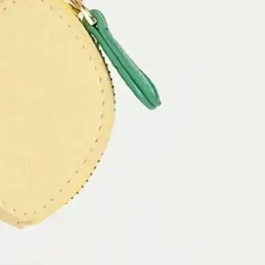 

Lemon Themed Pocket-Sized Wallet with Coin and Earphone Storage