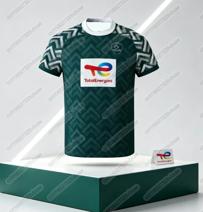 2026 Sommer-Mode-Sektion Paloise MAILLOT ENTRAINEMENT Rugby-Trikot Trainings-Sportbekleidung Herrenbekleidung Y2k Damen Familien-Partnerlook – Detail 4