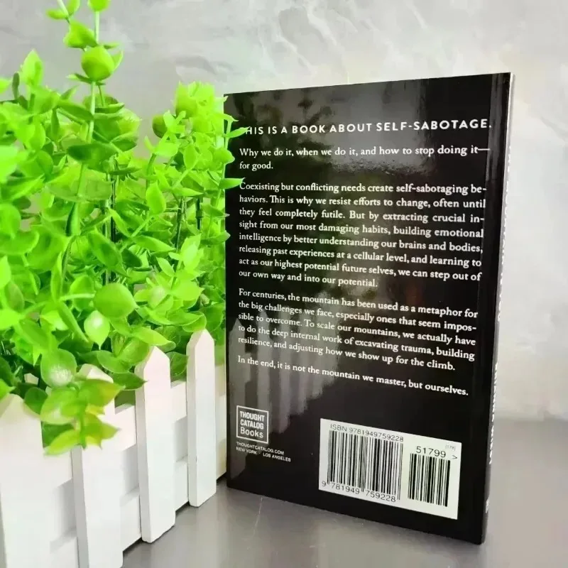 2025 New The Mountain Is You: Transforming Self-Sabotage Into Self-mastery English Books Birthday Gifts