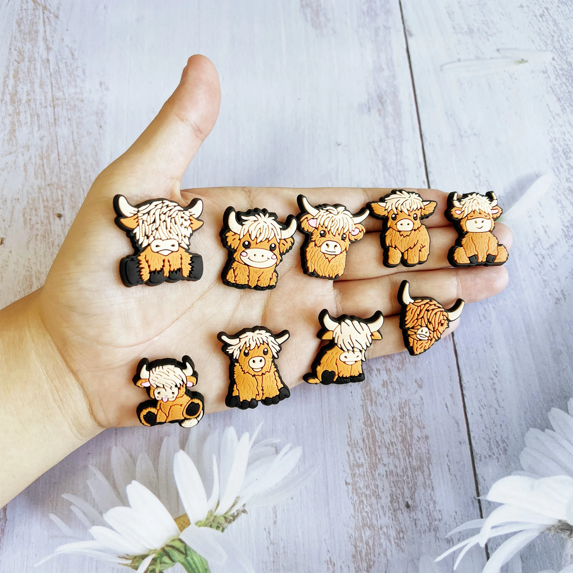 Thumbnail 3 - #19 Latest Croc Decorations Updates