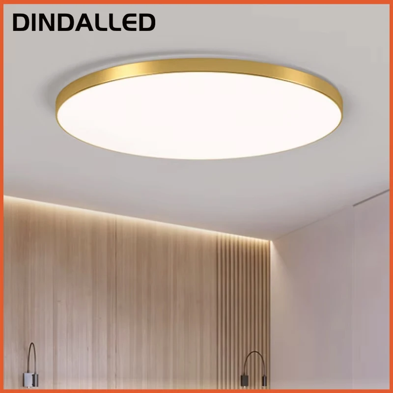 DINDALLED Modern LED Tavan Lambası: Yaşam Alanlarını Nasıl Dönüştürür ve Nasıl Kurulur?
