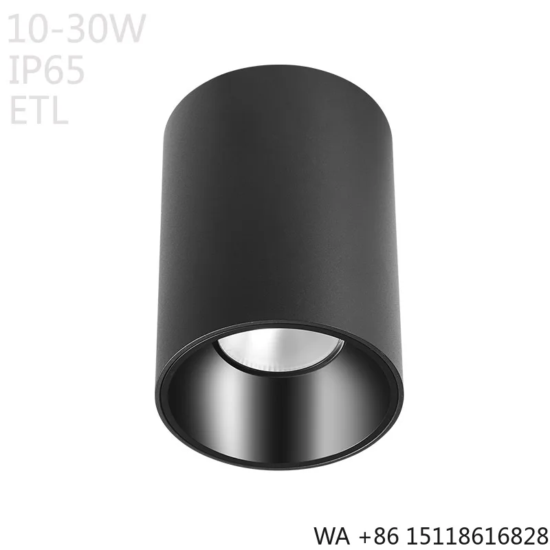 15 Years Gold CETL ETL Listed Supplier IP65 1000lm Surface Mounted LED Downlight 10W 90mm Aluminum Supermarket Contemporary