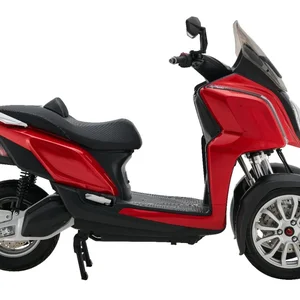 9 Haupttrikeverkäufe mit Motor - №6