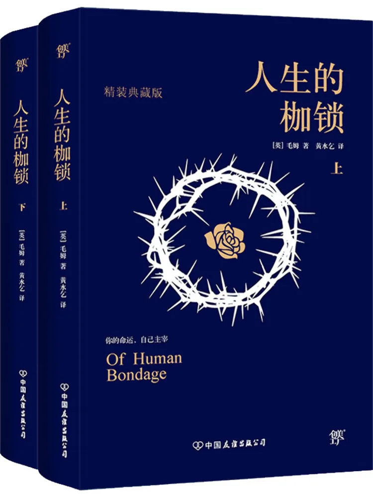 

Книга-альбом «Оковы жизни» в твердом переплете, коллекционное издание, 2 тома