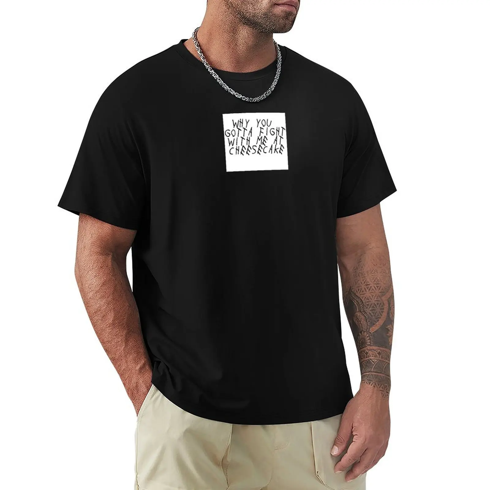 Drake - Why you gotta fight with me at Cheesecake? T-Shirt Casual Daily Outfit T-Shirt