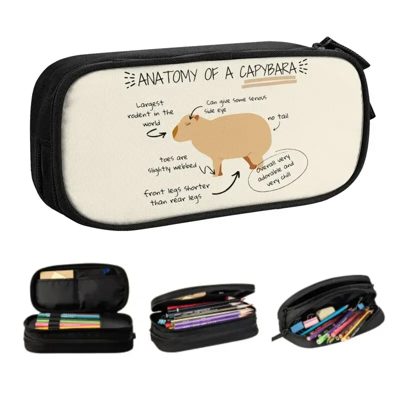 Custom Anatomy Of A Capybara Cute Pencil Case Big Capacity Wild Animals Of America Pencil Bag Pouch Students Stationery