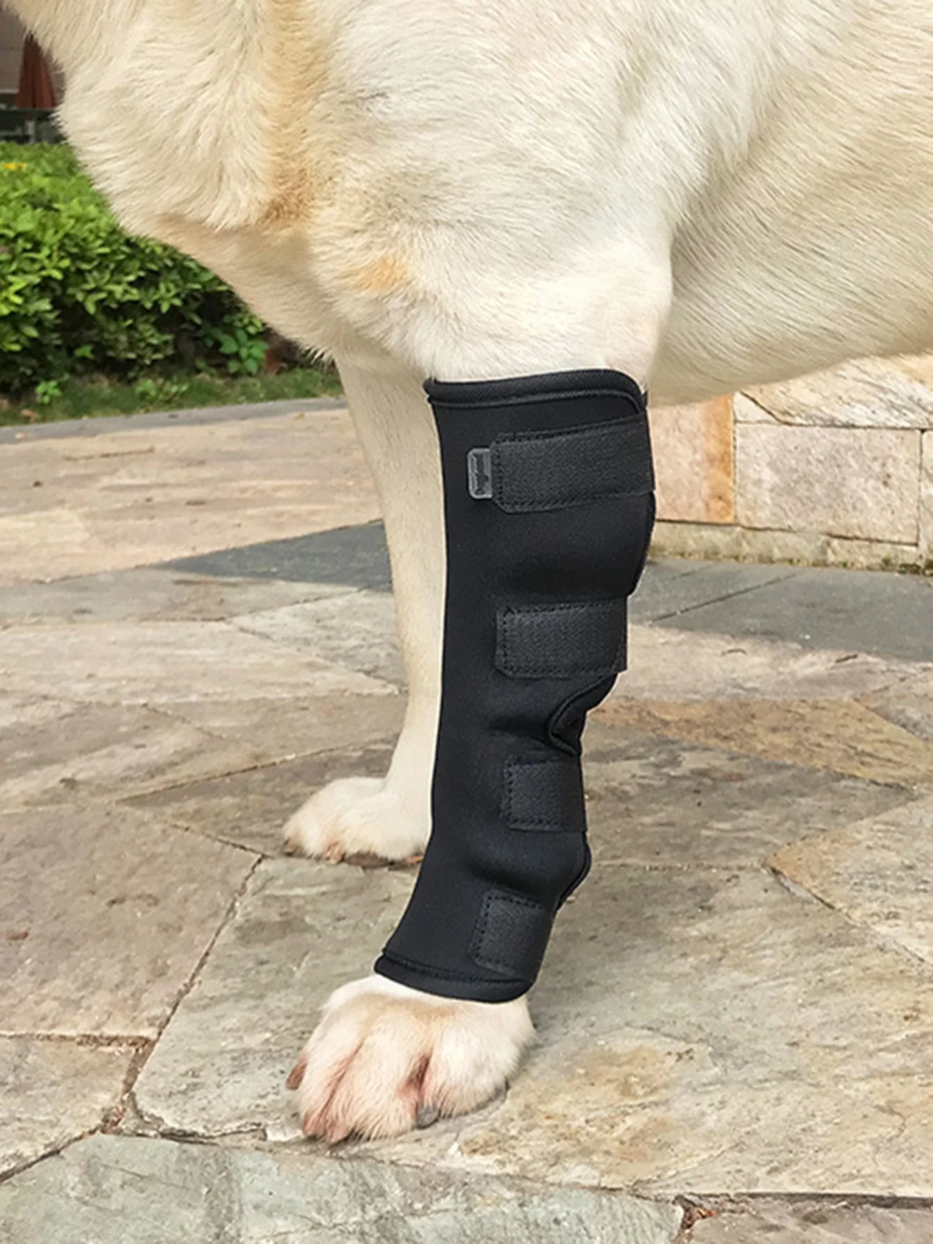 1pc-Pet knee pads, dog leg braces, wrist bone support for dogs with arthritis and injuries