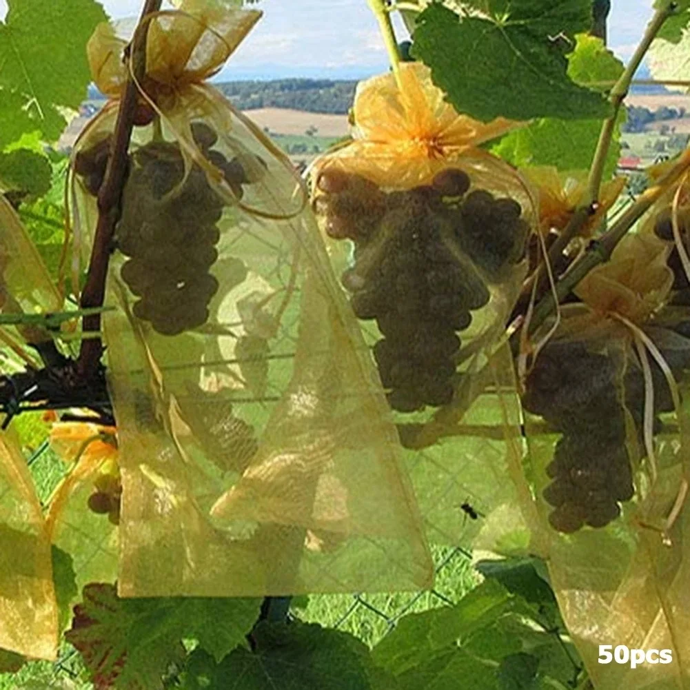 20 Stück 15*20cm Trauben Obsts chutz beutel Garten netz beutel Landwirtschaft liche Obstgarten Schädlings bekämpfung Anti-Vogel-Netz Gemüses äcke