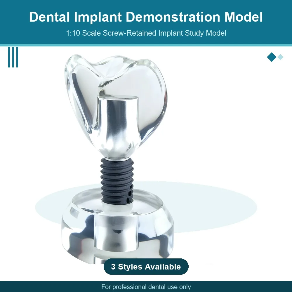 Crystal Dental Implant Demonstration Model 1:10 Scale Transparent Base Removable Abutment Crown Dental Teaching Tool