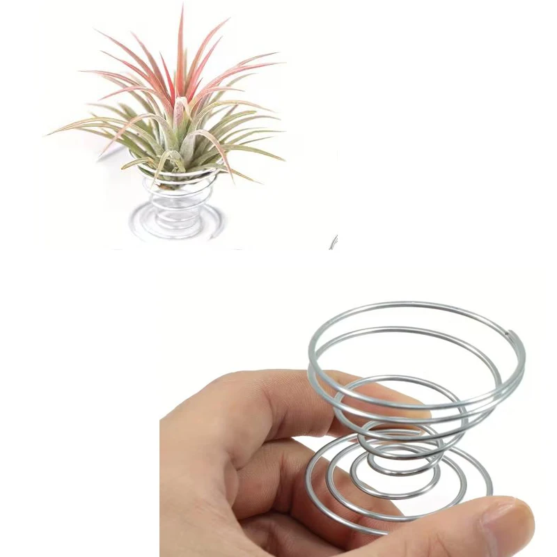 1/10PCS Metal Spring Stand Set, Special Air Plant Holder Tabletop Display Bracket for Garden Tillandsia Home Desktop Decoration