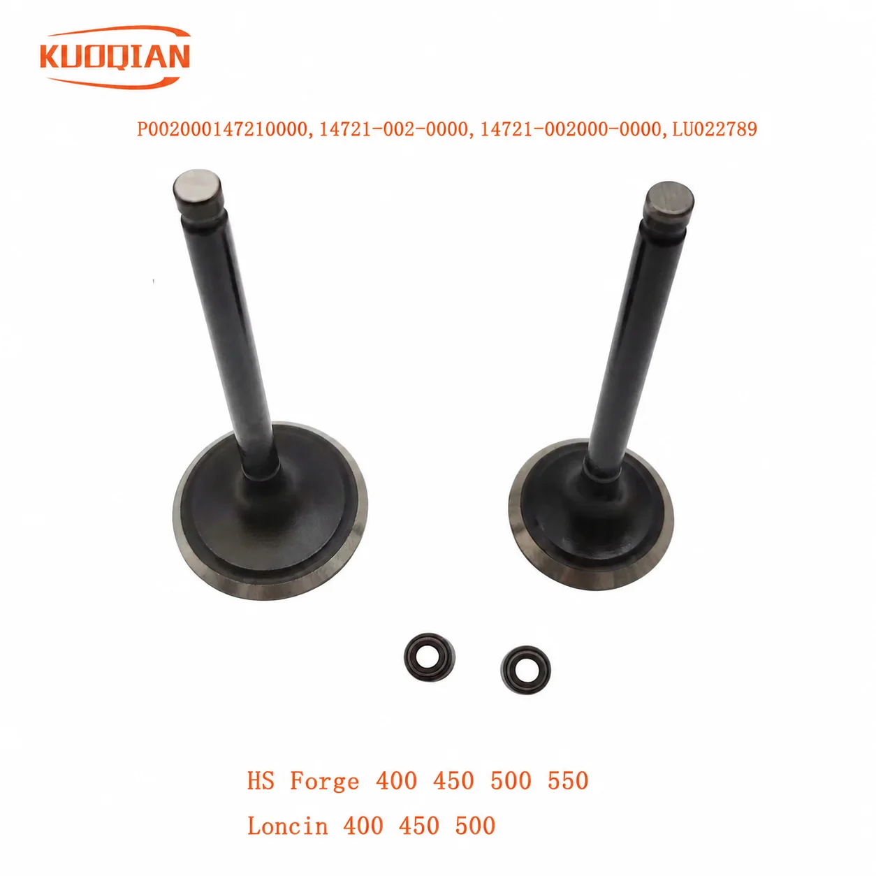 1Pc Intake And 1Pc Exhaust Valve Kit For HS 500CC ATV UTV HS ERP CODE P002000147110000 P002000147210000