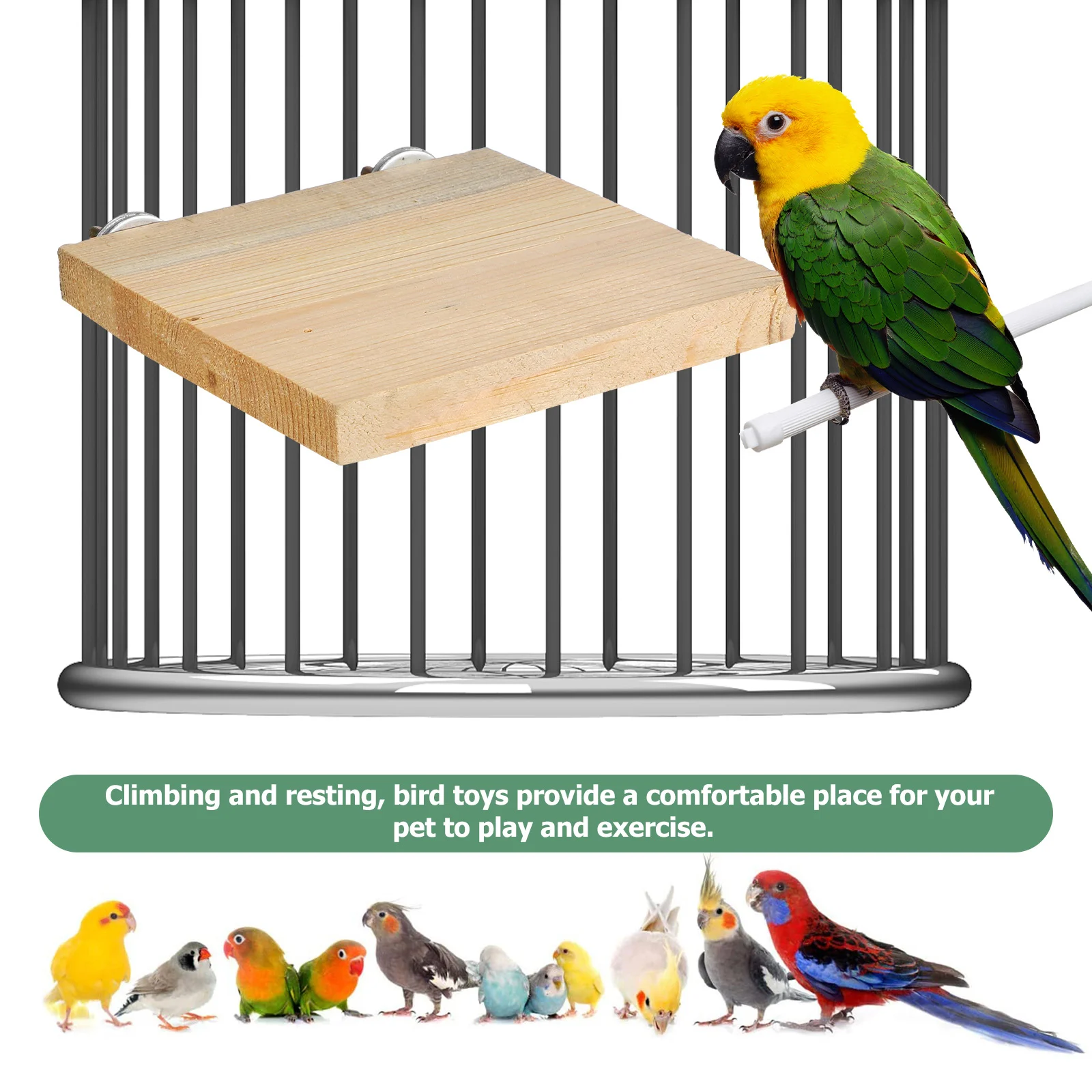 2 Pcs Tori Stand Platform Wood Perch Parrot Small Birds Striped Bass Perches Parakeets Conures