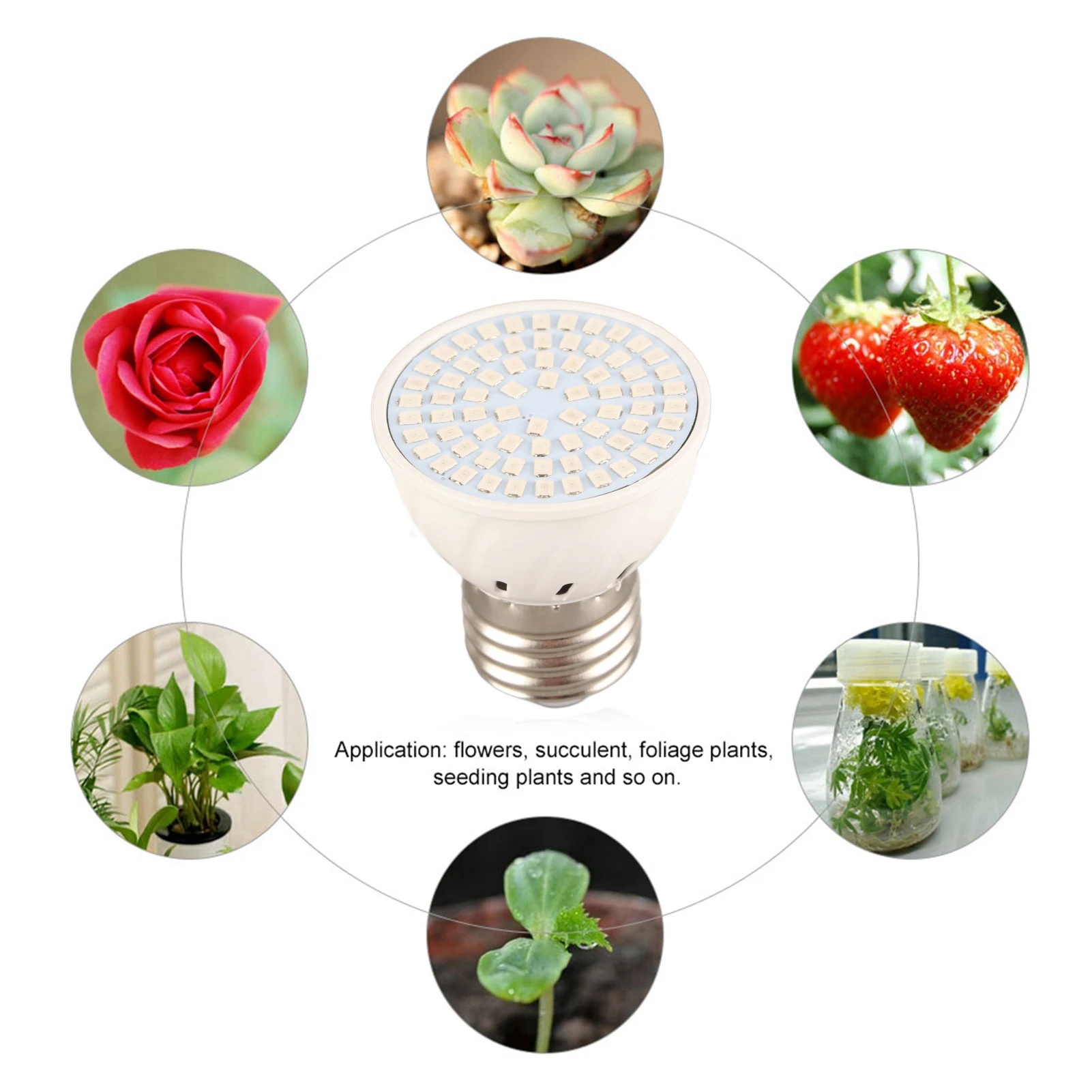 Red Blue E27 5W AC220V 72 LEDs SMD2835 LED Grow Light Phytolamp for Plants Seedlings Flower Hydroponic Bulb