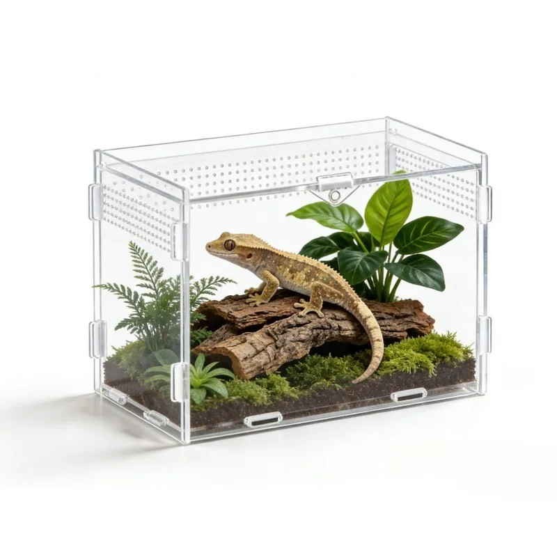 

Acrylic Reptile Breeding Box Small Terrarium Habitat Clear View Cage for Spider Lizard Mantis Rainforest Landscaping