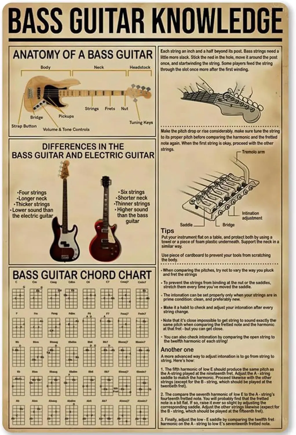 Bass Guitar Knowledge Metal Sign Anatomy of A Bass Guitar Tin Poster Plaque Beginner Home Kitchen Club School Cafe Education Inf