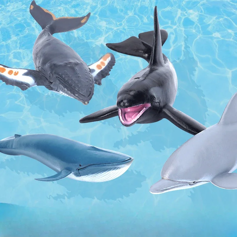 시뮬레이션 해양 해양 생물 고래 피규어, 상어 카차롯 액션 피규어, 해양 동물 모델 돌고래