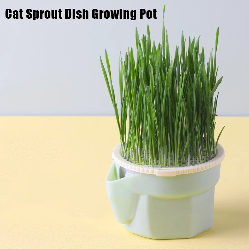 1Pc Pet Cat Sprout Dish Growing Pot Hydroponic Plant Cat Grass Germination Digestion Starter Dish Greenhouse Grow Box