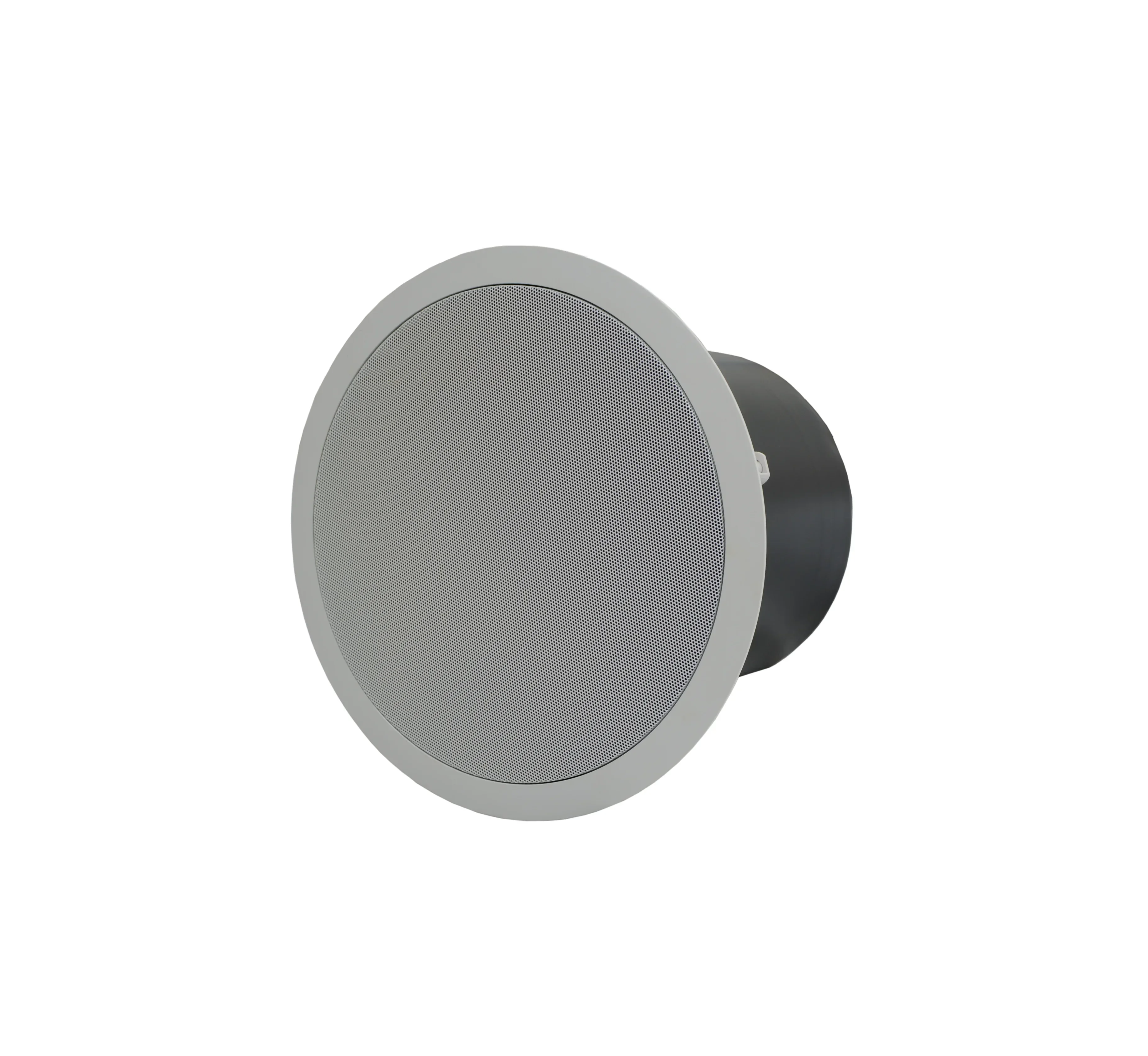 

2026 Premium OEM ODM Manufacturer Surround Sound Passive Ceiling Subwoofer Speaker Metal Sonos Speaker Indoor 200W 100W