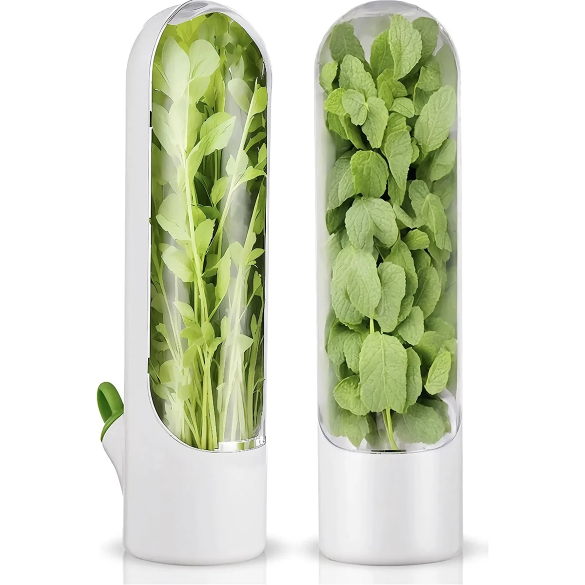 crisper box3PCS Herb Saver for Refrigerator Herb Freshs Keeper for Refrigerator,Herb Storage for Cilantro,Parsley, Asparagus