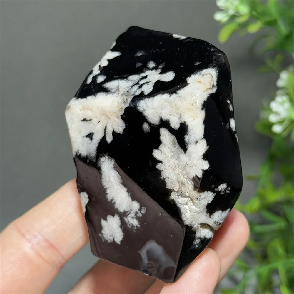 Natural Gemstone Black Cherry Agate Irregular Polyhedron Home Lucky Decoration Energy Spiritual Meditation Witchcraft Aura