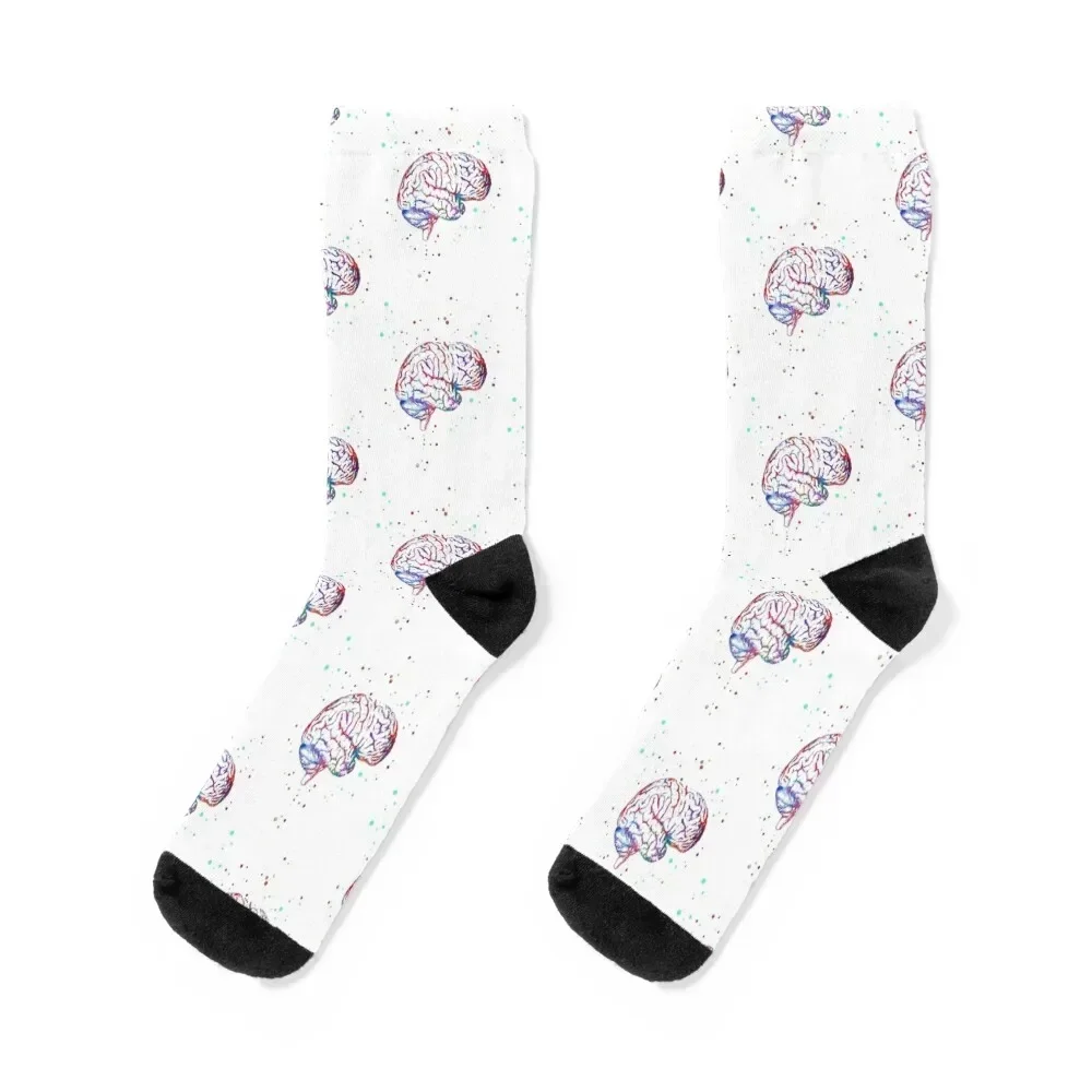 Brain anatomy, medical art, watercolor Brain, Brain print Socks Stockings moving stockings cool essential Socks For Man Women's