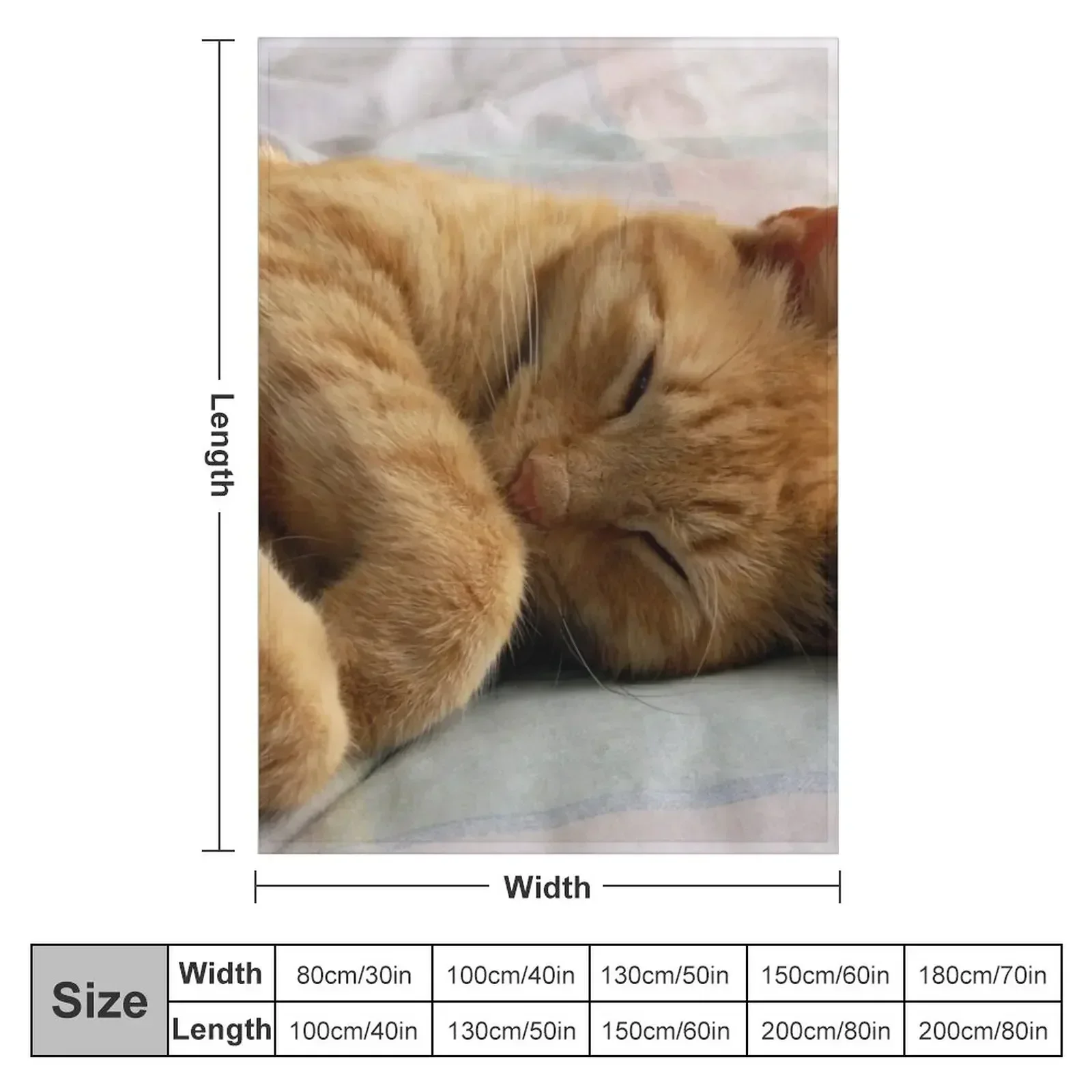 Ginger Cat Sleeping Throw Blanket bed plaid Beach Plaid Blankets