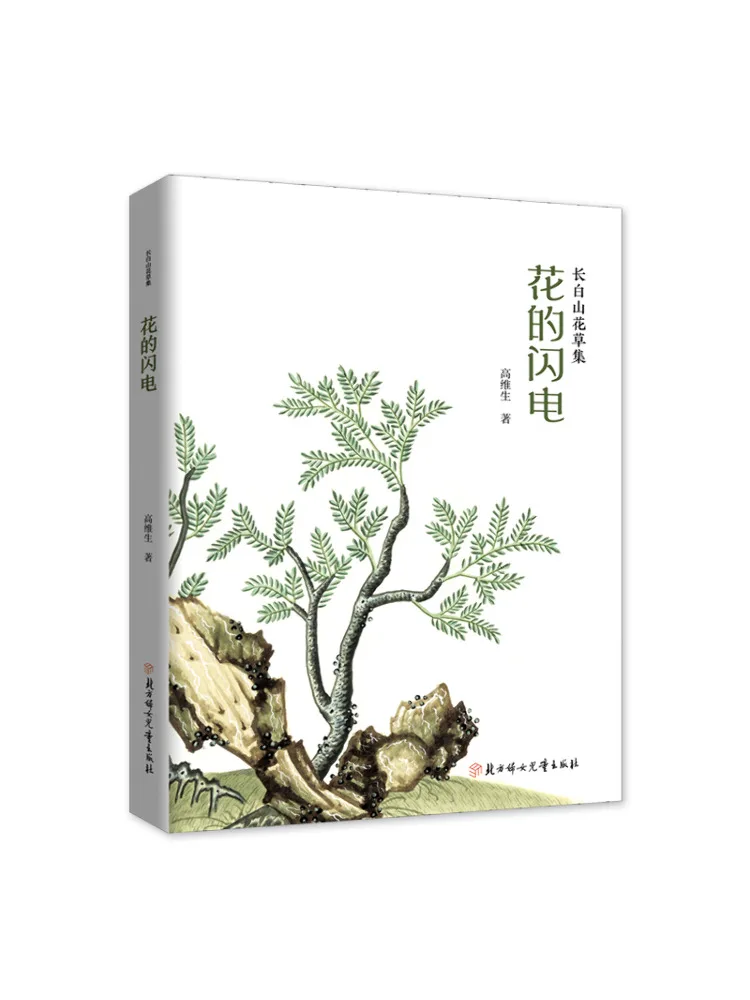 Book-Winshare Flower's Lightning