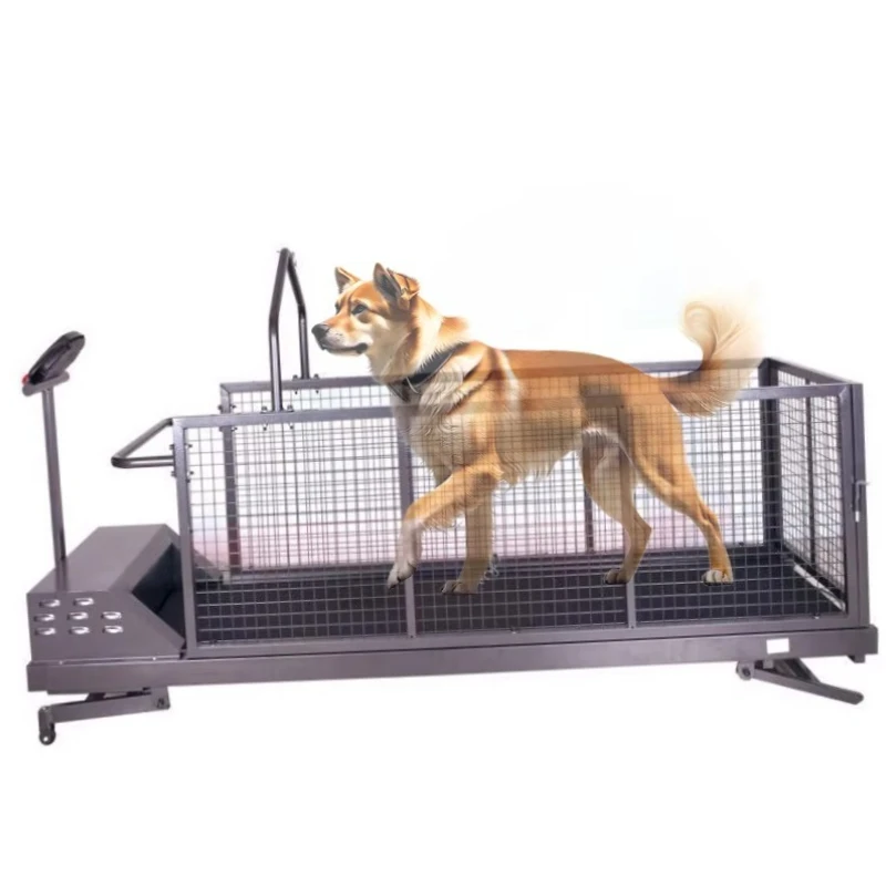 

Electric Dog Treadmill with Incline, for Weight Loss Training