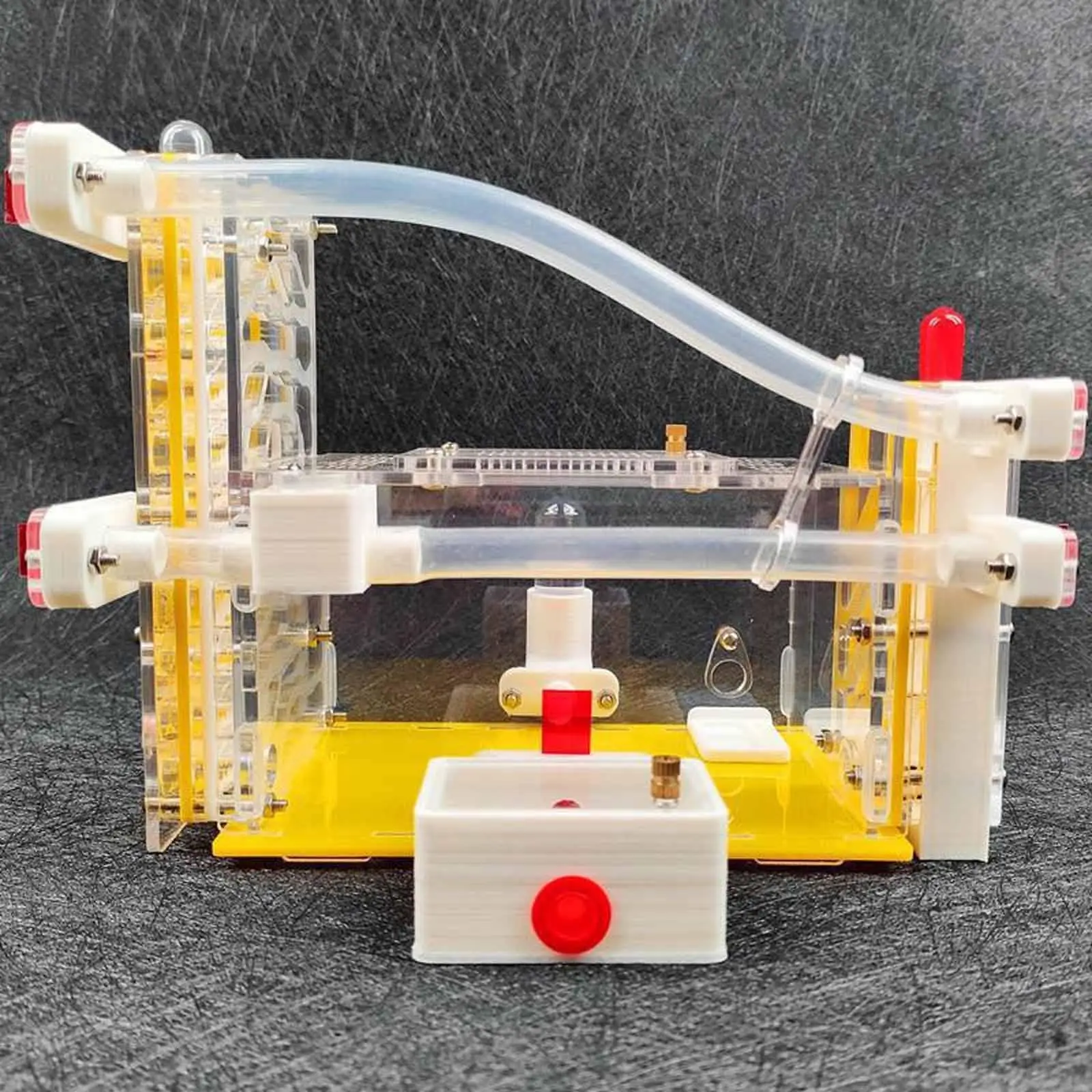 

DIY ANT Farm Castle House Villa Science Kit,ANT Viewing,Observation Habitat Anthill Pet Workshop for Home Students