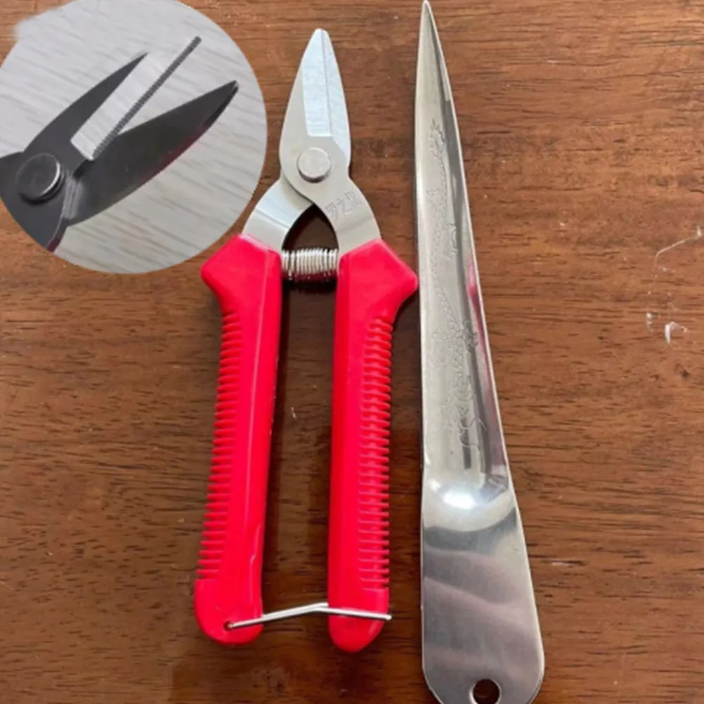 

Dragon Pattern Prying Tool Set Wicker Repair 1 Red Pry Knife Large Yellow Scissors 3 0 Closing Frame Metal Material Rattan