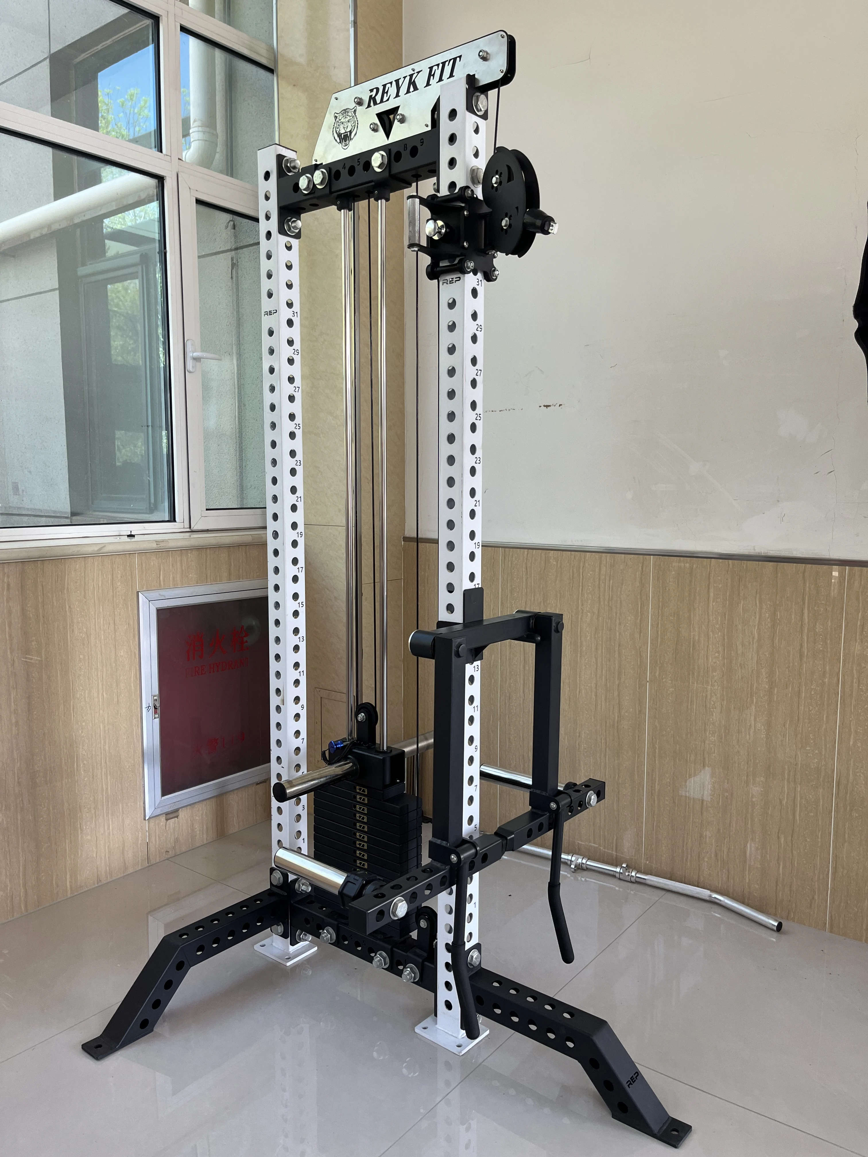 Unisex Home Cable Pulley Exercise Machine Steel Pull Down Crossover Squat for Chest Shoulder Back Arms Training