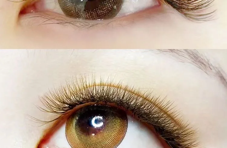 MARIA Brown 4D W-Form Einzelwimpern Bunte Wimpernverlängerung Natürlich Weich Echtes Schwarzes Nerzhaar Vorgefertigte Volumenfächer – Detail 6