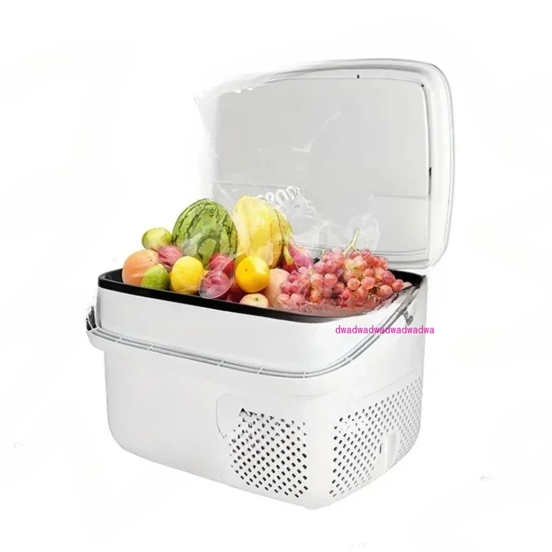 Fridge Portable Fridge Freezer Refrigerator 18l Portable Dc Compressor 12v Mini Fridge Car