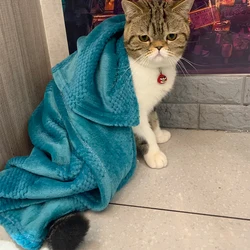 Pet Blanket Flannel Throw for Dog Kitten Blankets Winter Soft Fluffy Premium Puppy Cat Towel Fleece Sleeping Cover Cushion Mat