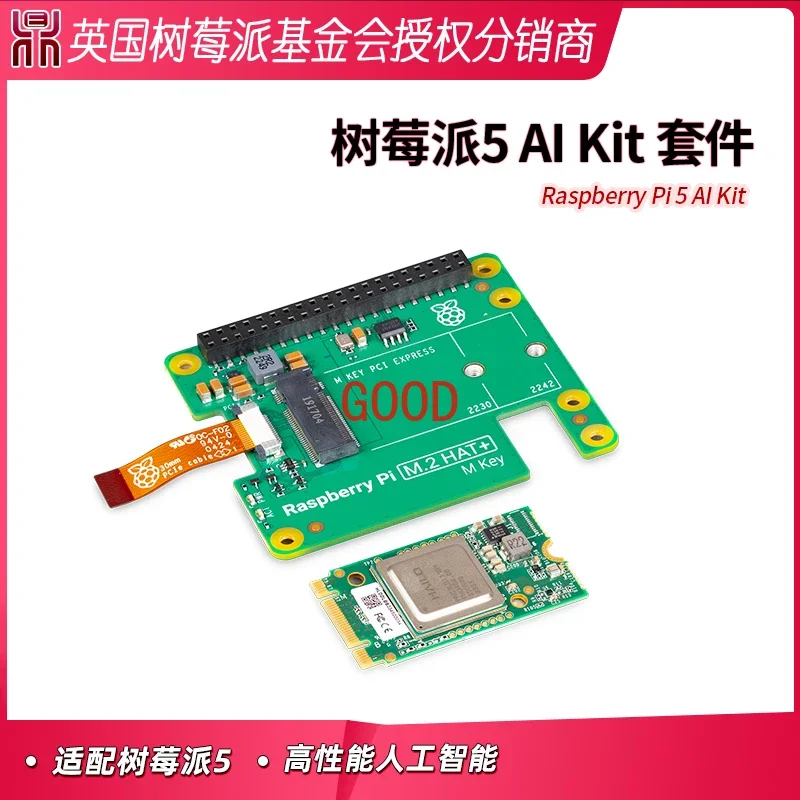 Raspberry Pi AI Kit Artificial Intelligence Kit Hailo8l