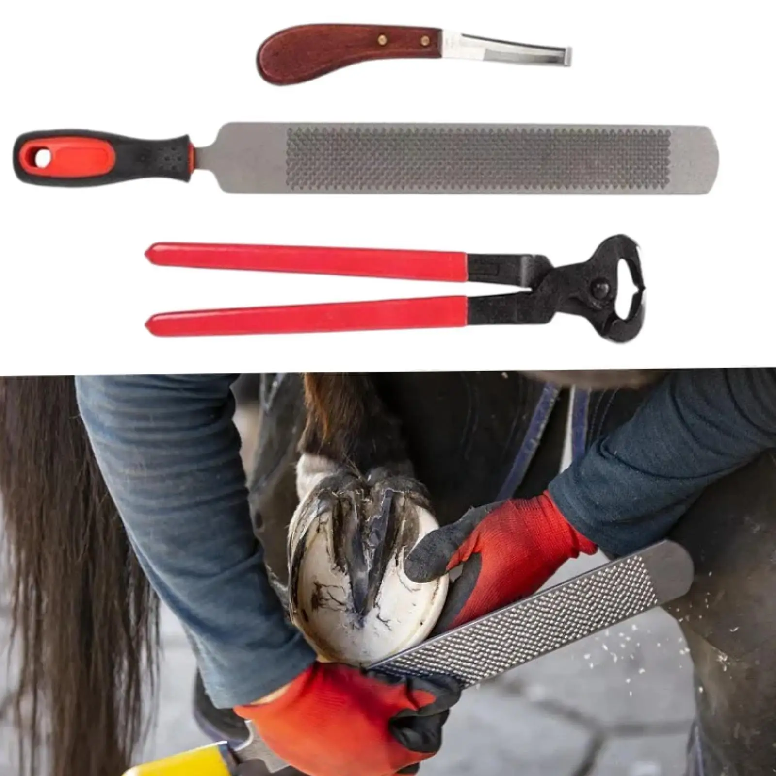 

3 Pieces Horse Hoof Trimming Horseshoe Pliers Nipper Farrier Tools for Horses, Cows, Sheep, Equestrian Supplies Horse Hoof File