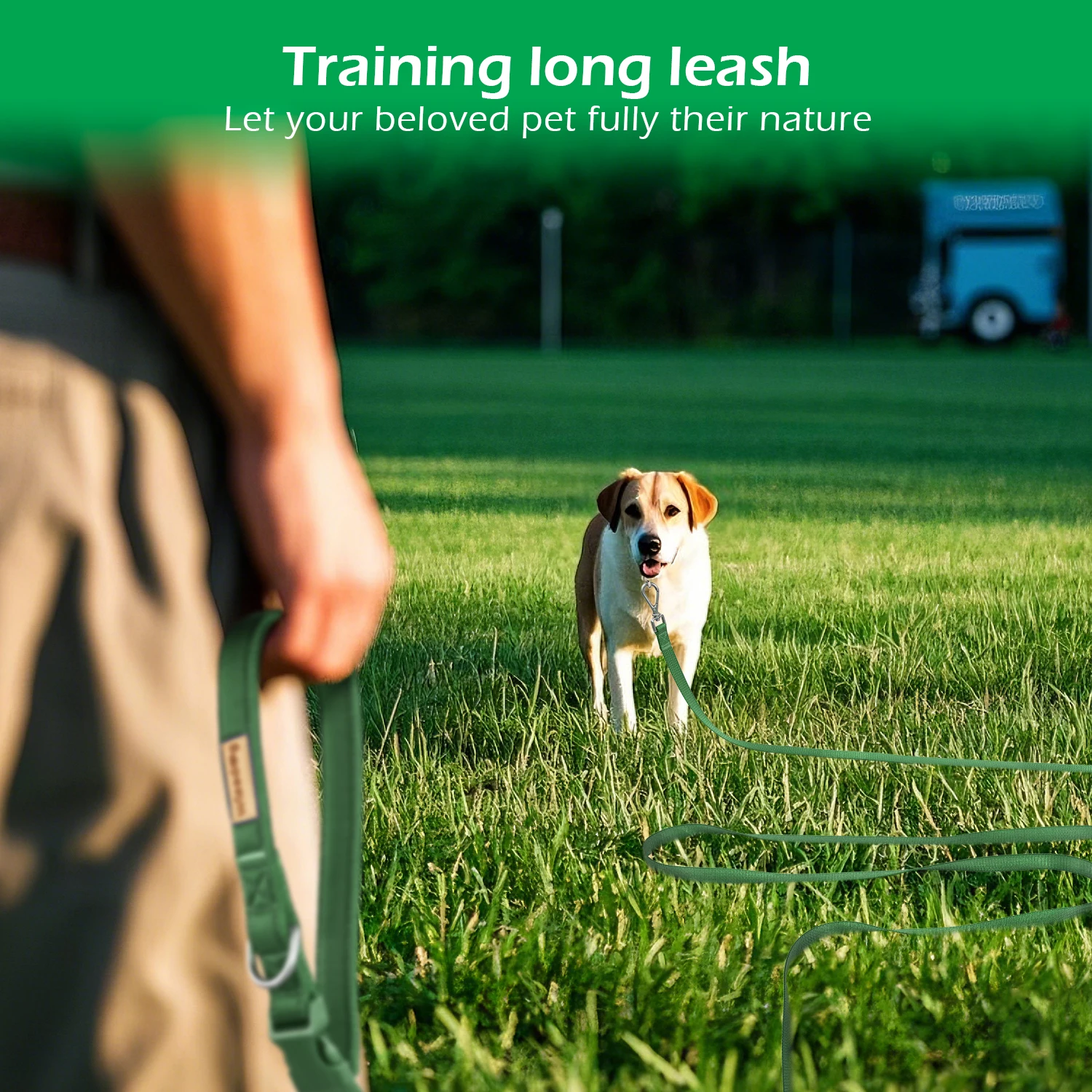 Freihand-Hundeleine für Komfort und Sicherheit, Gepolstert, Verstellbar, für Spaziergänge, Laufen und Training, 3M 5M 10M 15M – Detail 6