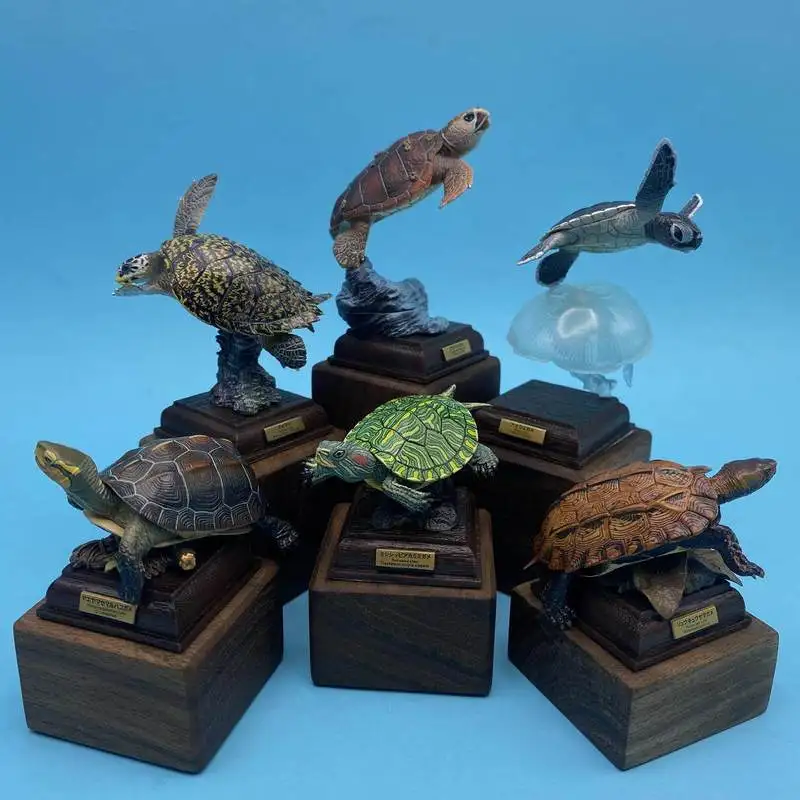 Echte Kitan Club Ikimon Japanische Schildkröte Sonderedition Tiermodell Desktop-Dekoration Sammlerstück Gashapon-Figur Auf Lager