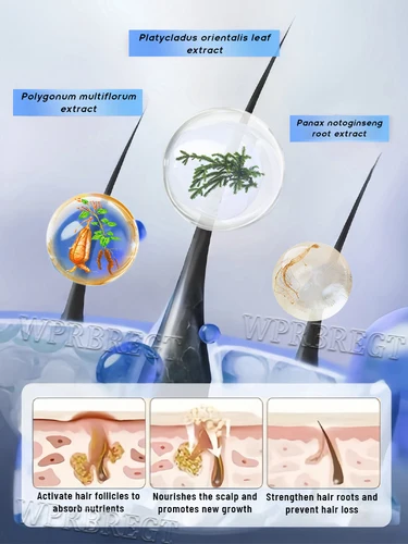 Imagen 2 del producto Promueve el crecimiento de la raíz del cabello y te dar un cabello hermoso.