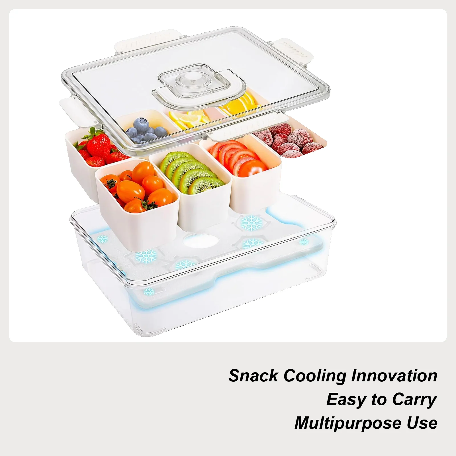 

Cooling Snack Container Snack Tray With Lid Divided Serving Tray Reusable Platter 8-Compartment For Hiking School Party Lunch