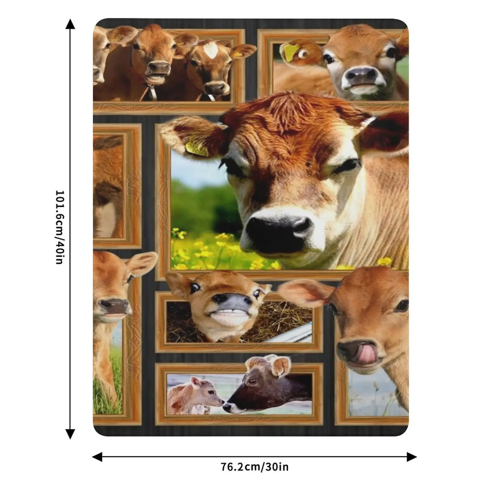 Cute Jersey Cows Farmer Throw Blanket Soft Big Nap For Sofa Thin wednesday Blankets