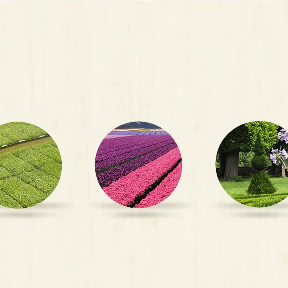 Efficient Garden Plant Identification Stakes Plastic Labels Large Tag Surface Markers For Greenhouse Nursery Home