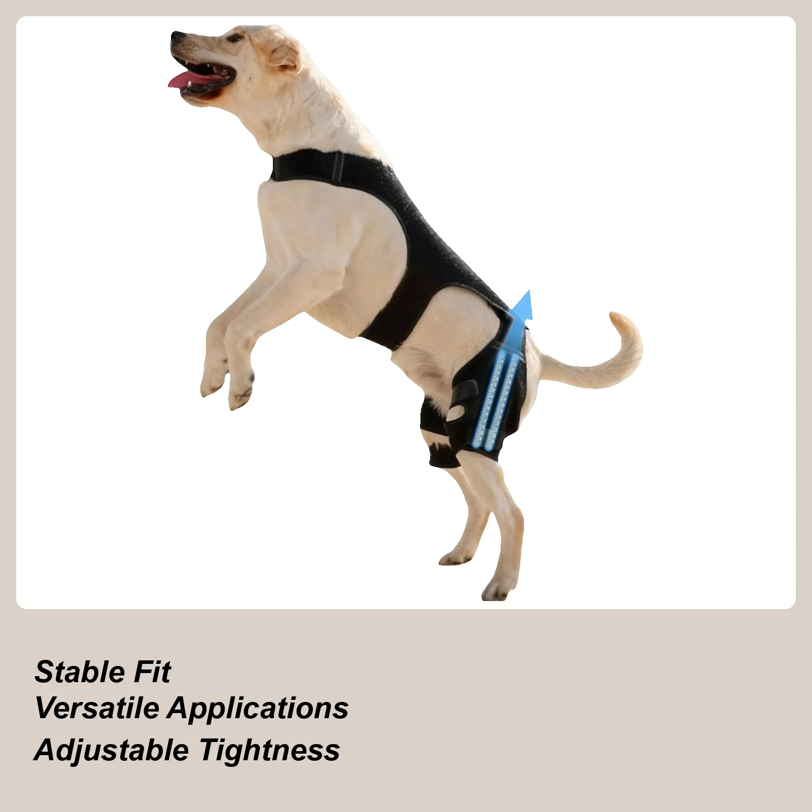 

Наколенник для собаки, регулируемый шарнирный рукав, бандаж для заднего ноги собаки с 4 металлическими стабилизаторами для пеших прогулок, занятий спортом на свежем воздухе