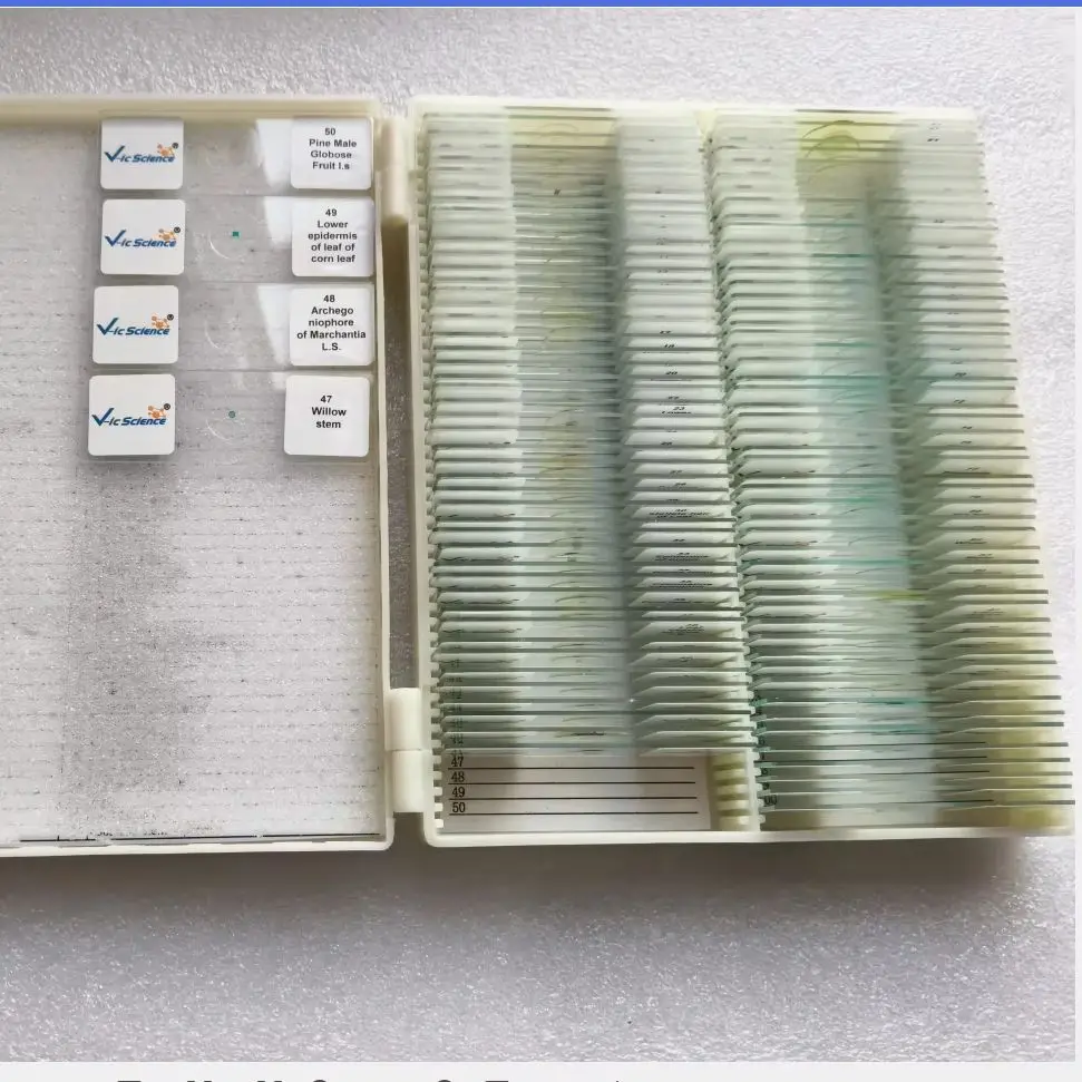 100PCS Botany Biological Prepared Slides